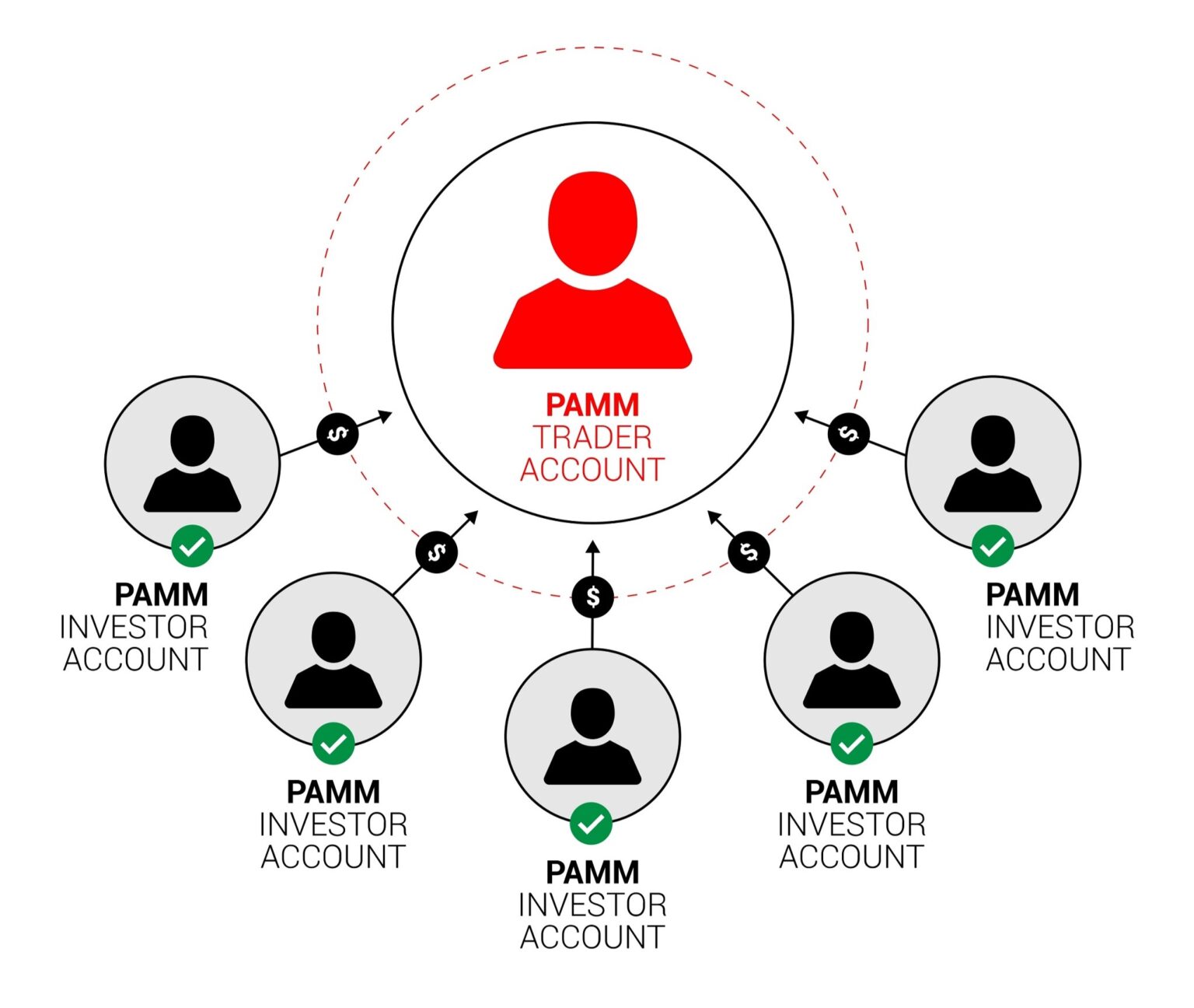 PAMM İşlem Hesapları